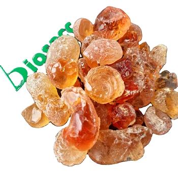 ¡Gum Arabic: Un Aditivo Natural para la Industria Alimentaria y Farmacéutica!