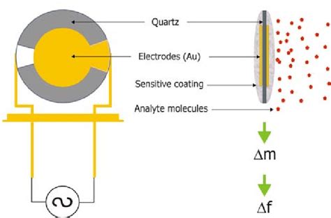  ¿Qué es el Quartzo y por qué es un material indispensable para la electrónica de alta precisión?